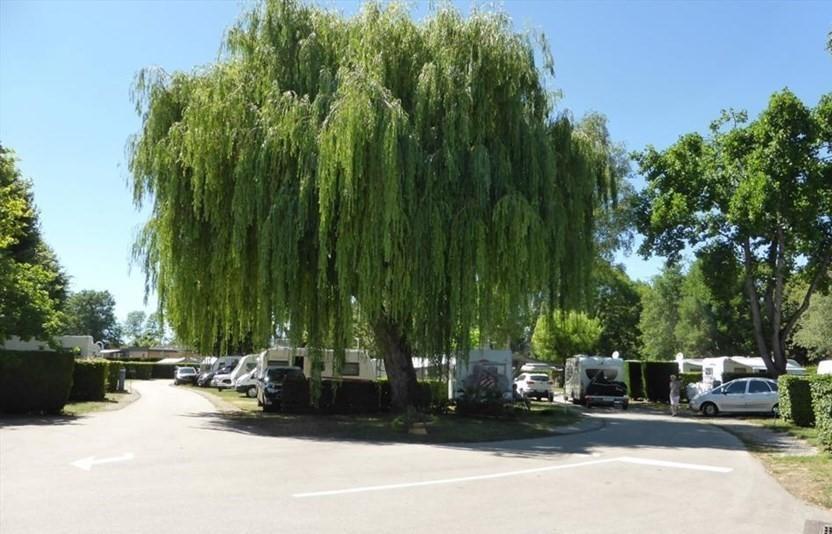 Camping Du Paquier Fane Chagny  Kültér fotó